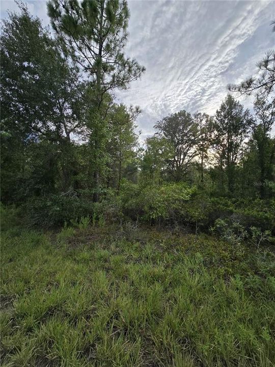 For Sale: $30,500 (1.00 acres)