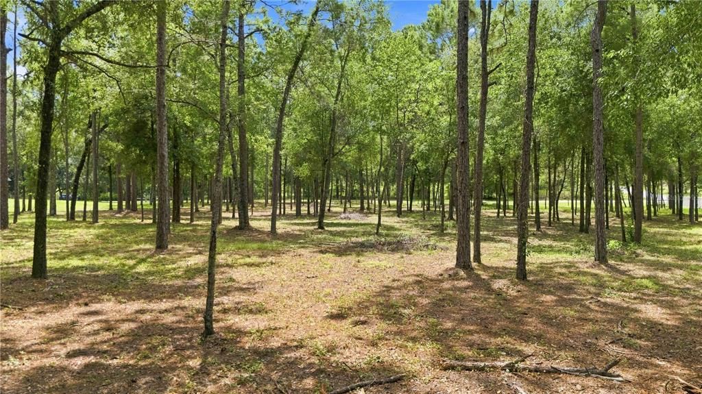 На продажу: $100,000 (1.30 acres)
