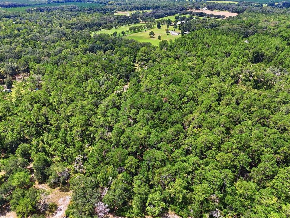 For Sale: $80,000 (5.32 acres)
