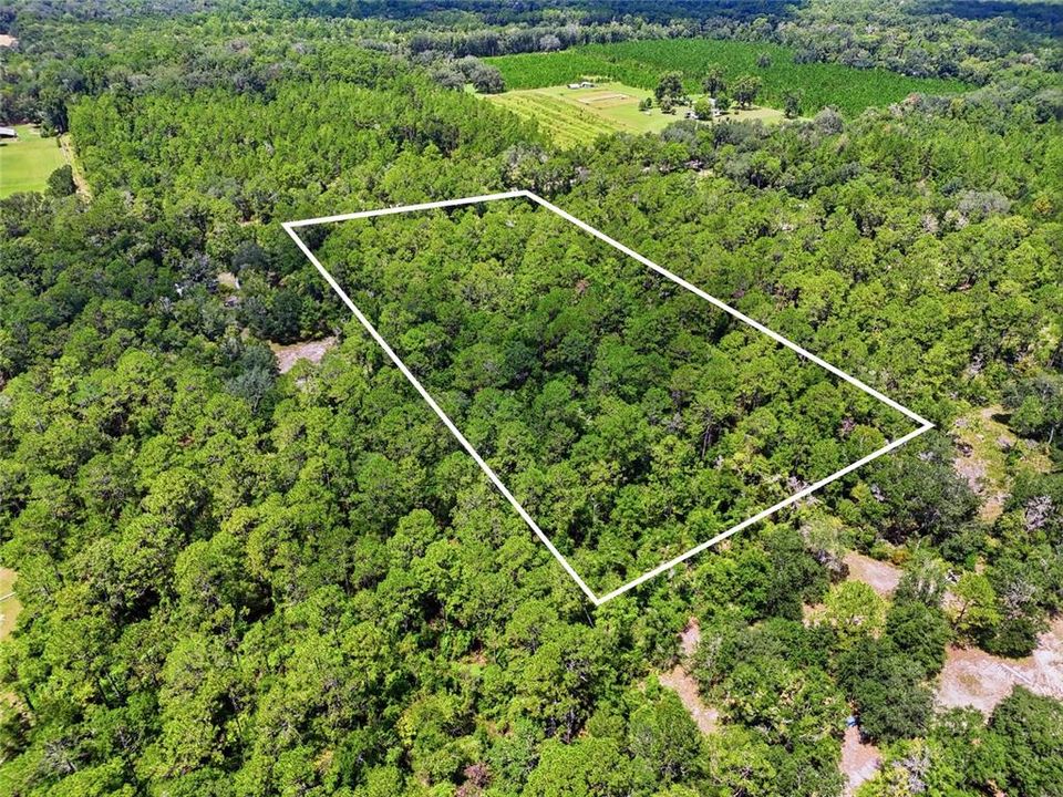 For Sale: $80,000 (5.32 acres)