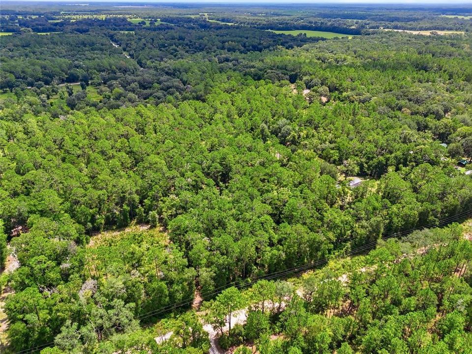 For Sale: $80,000 (5.32 acres)