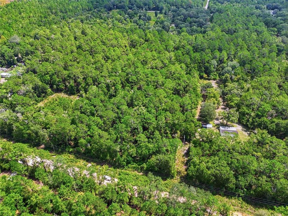 For Sale: $80,000 (5.32 acres)