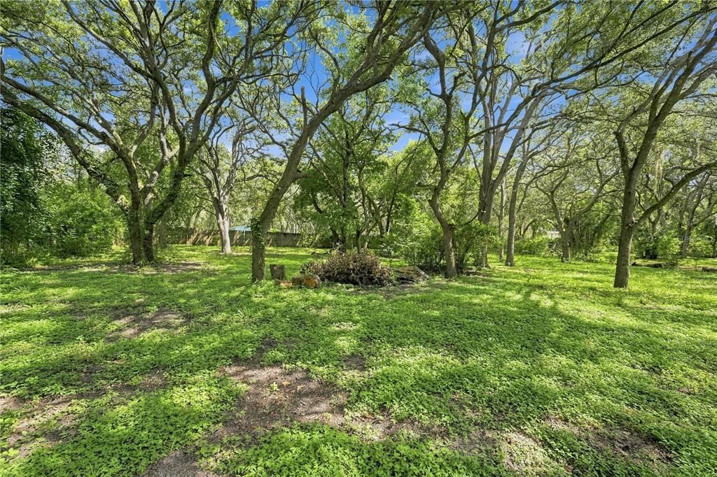 На продажу: $165,000 (3 спален, 2 ванн, 1620 Квадратных фут)