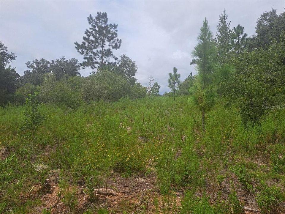 待售: $35,000 (1.00 acres)