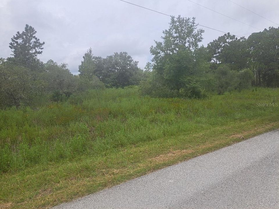 待售: $35,000 (1.00 acres)