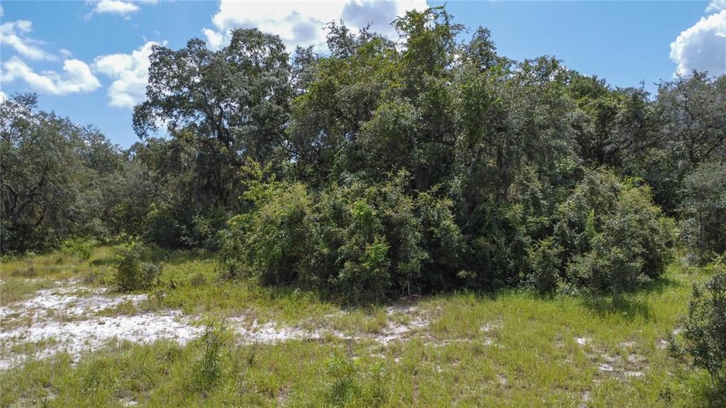 На продажу: $350,000 (4.72 acres)