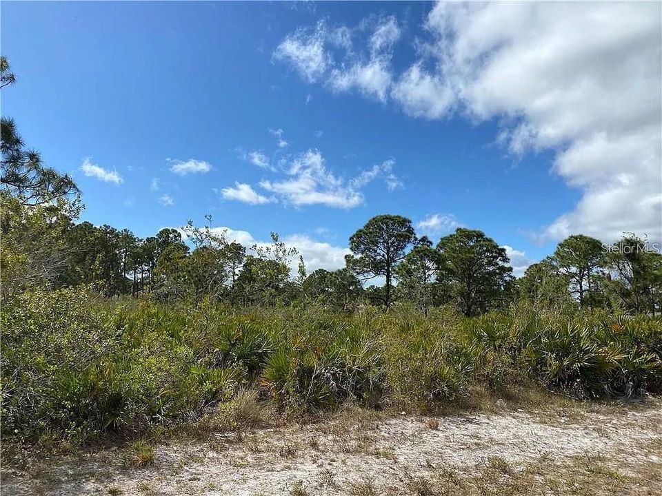En Venta: $16,000 (0.18 acres)