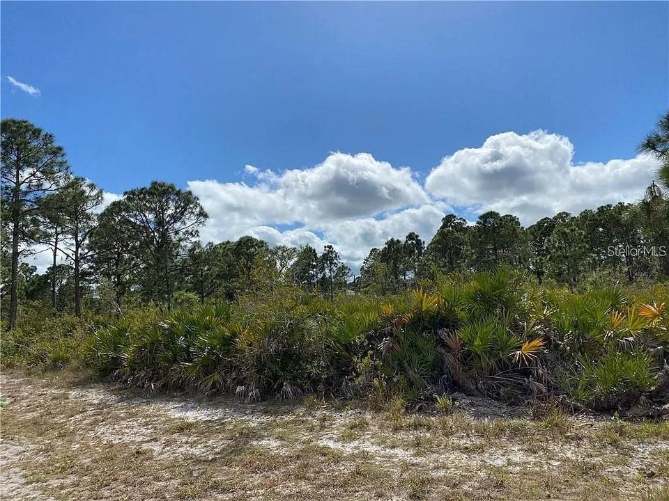 En Venta: $16,000 (0.18 acres)