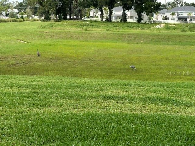 For Rent: $2,200 (3 beds, 2 baths, 1843 Square Feet)