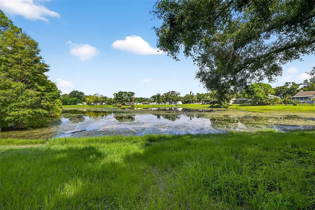 En Venta: $1,550,000 (4.43 acres)