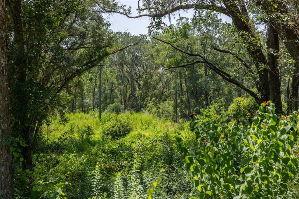 For Sale: $39,900 (2.16 acres)