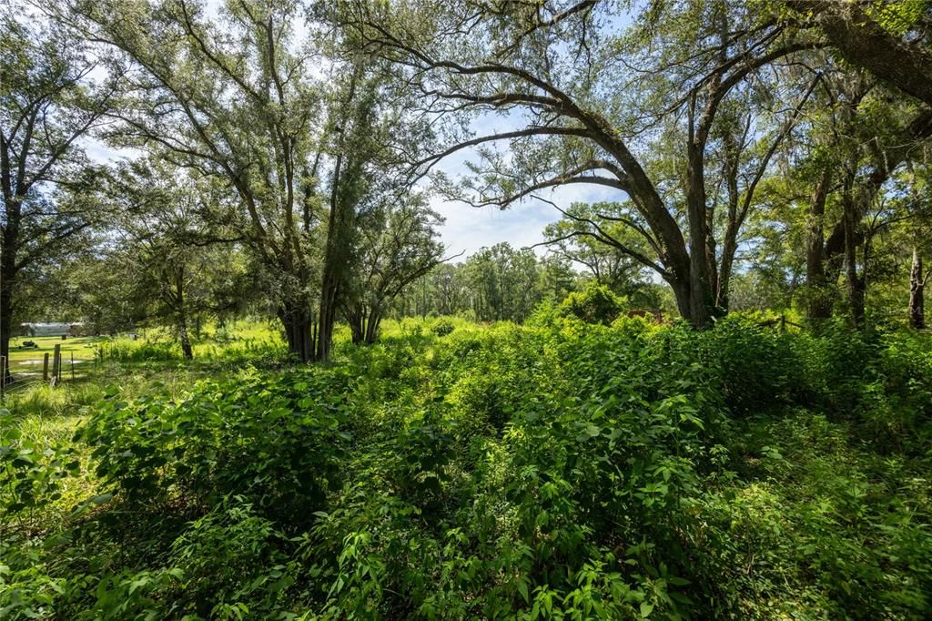 For Sale: $39,900 (2.16 acres)