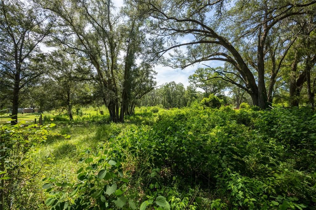 For Sale: $39,900 (2.16 acres)