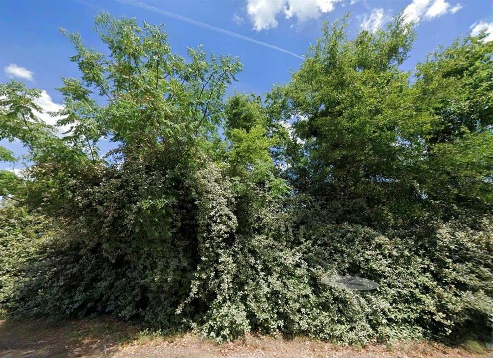 待售: $95,000 (2.49 acres)