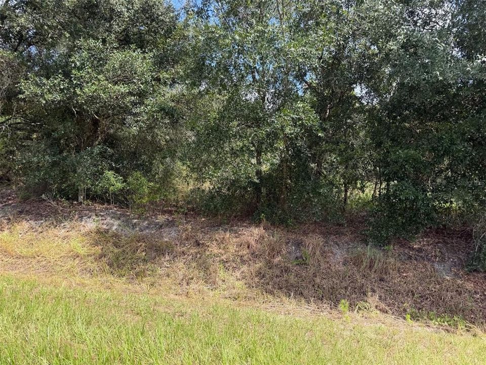 待售: $30,000 (1.25 acres)