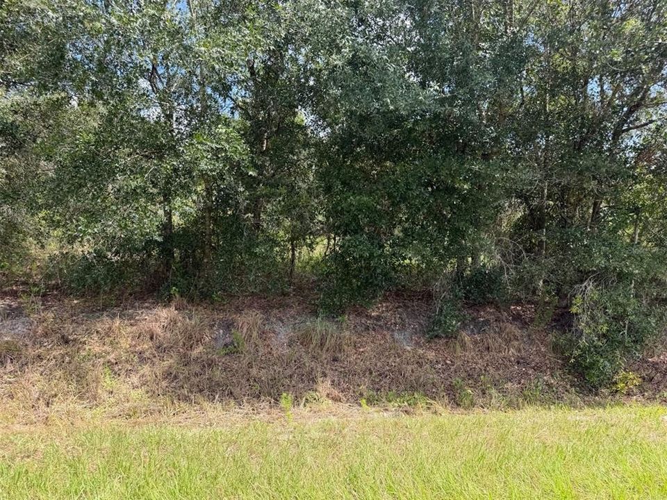 待售: $30,000 (1.25 acres)