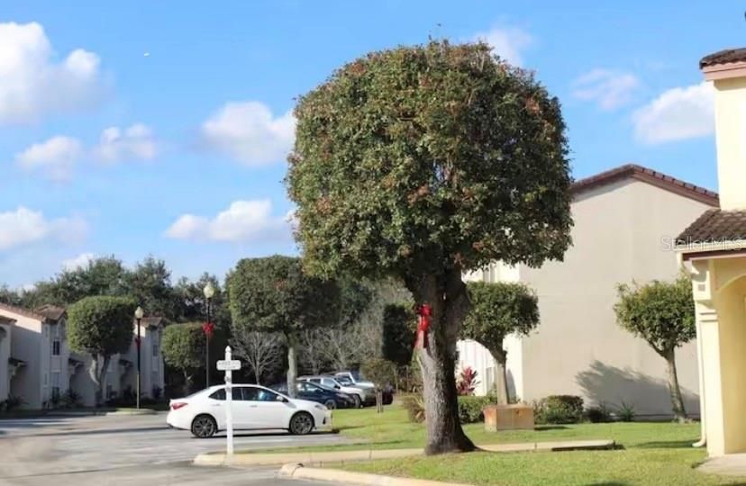 En Venta: $265,000 (2 camas, 2 baños, 1012 Pies cuadrados)