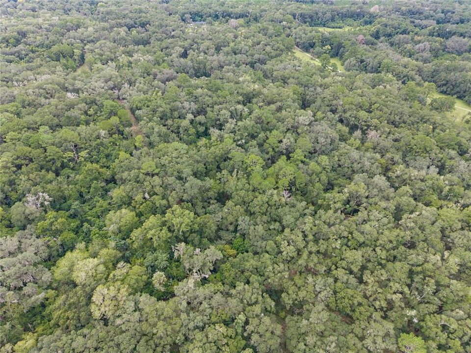 En Venta: $199,000 (5.00 acres)