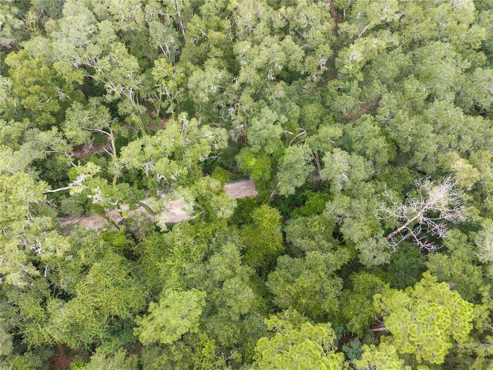 En Venta: $199,000 (5.00 acres)