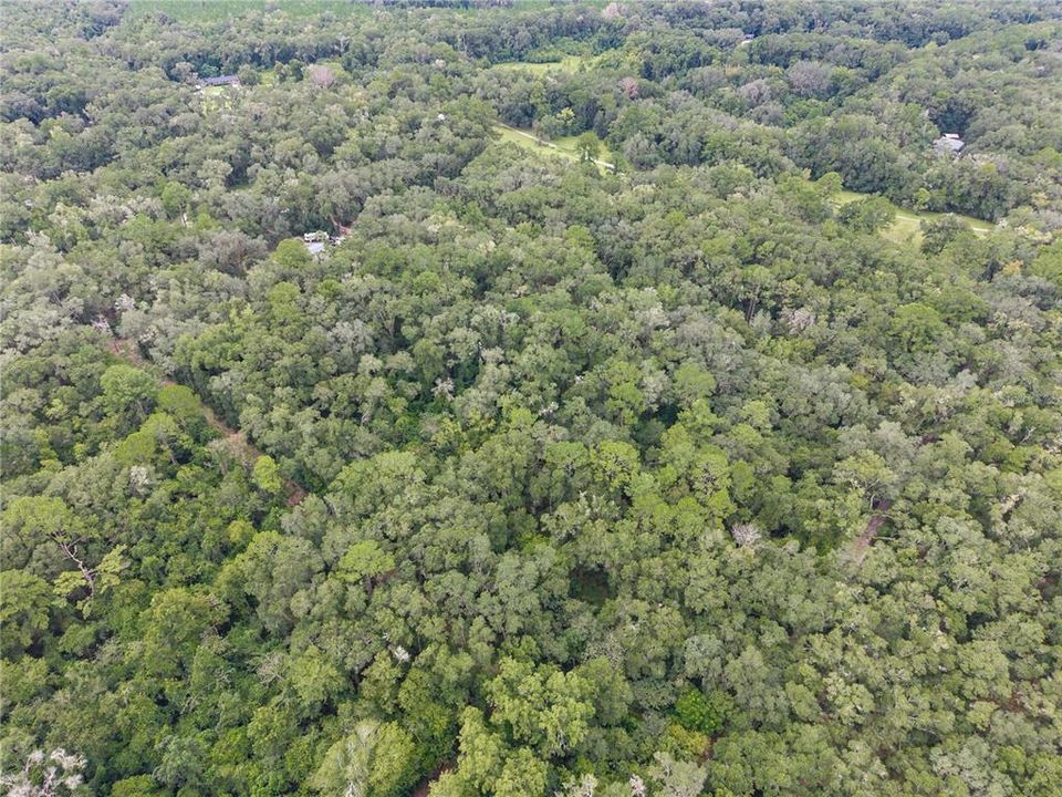 En Venta: $199,000 (5.00 acres)
