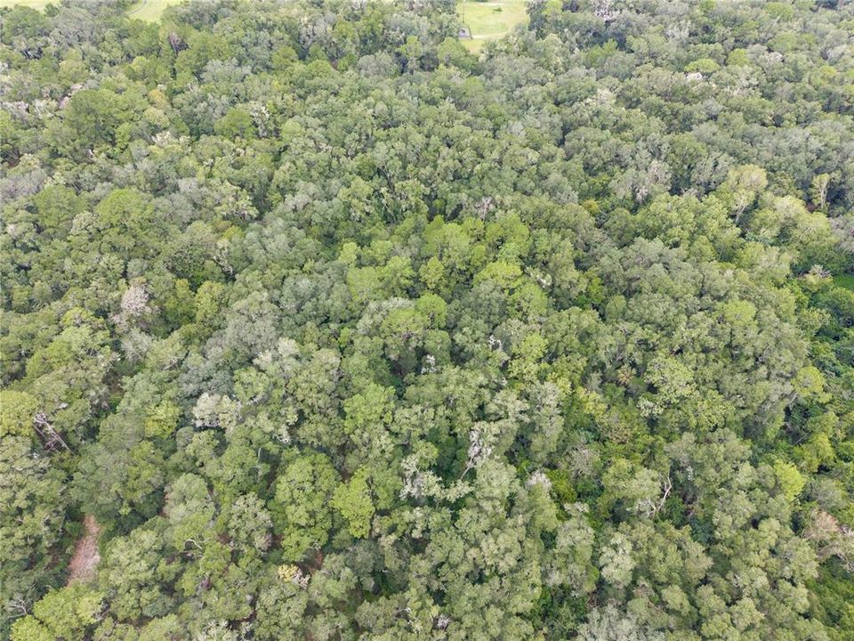 En Venta: $199,000 (5.00 acres)