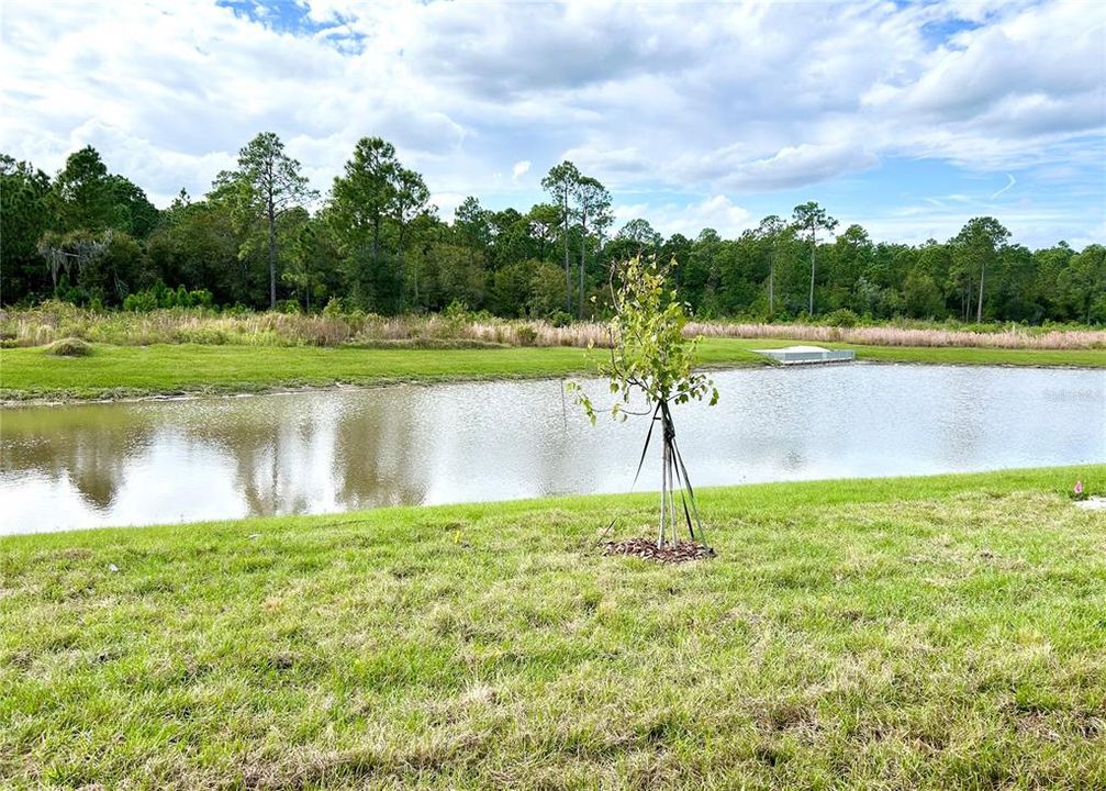 For Rent: $2,000 (3 beds, 2 baths, 1516 Square Feet)
