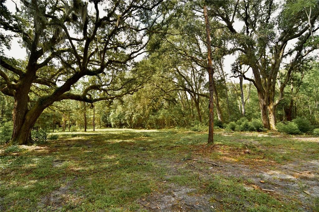 For Sale: $309,999 (19.93 acres)