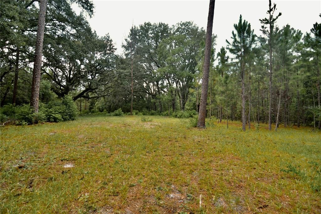 For Sale: $309,999 (19.93 acres)