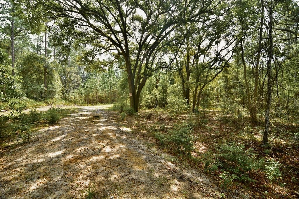 For Sale: $309,999 (19.93 acres)