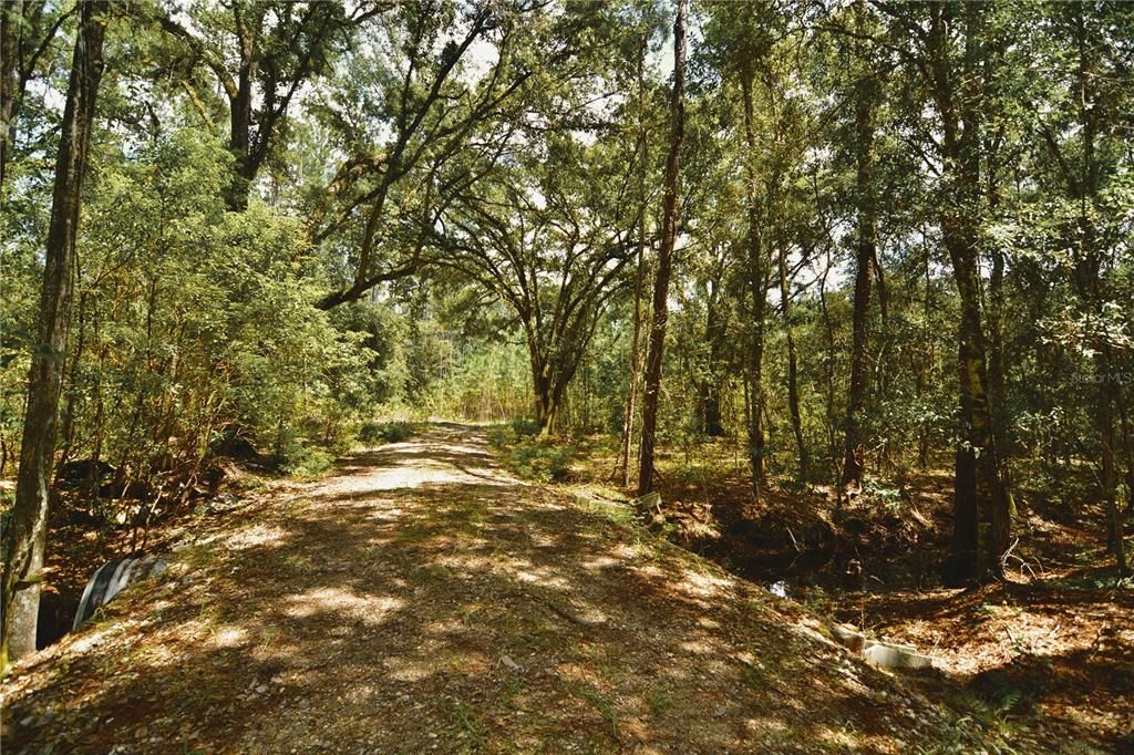 For Sale: $309,999 (19.93 acres)