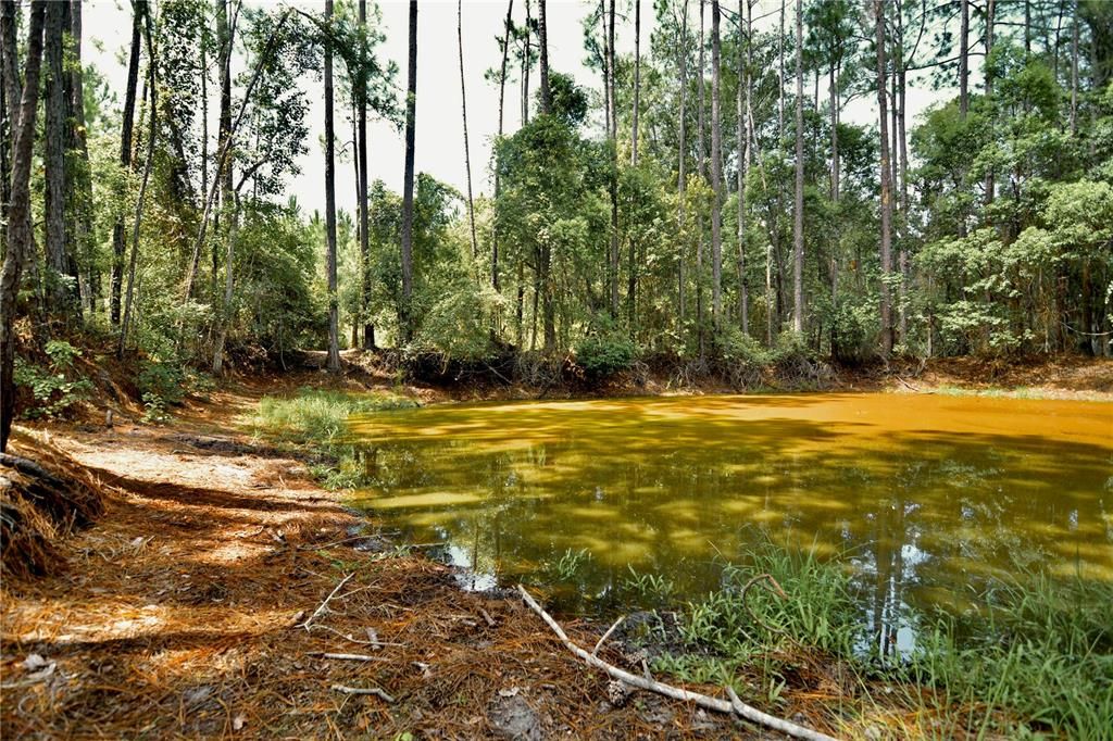 For Sale: $309,999 (19.93 acres)