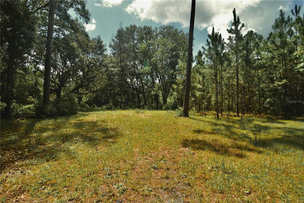 For Sale: $309,999 (19.93 acres)