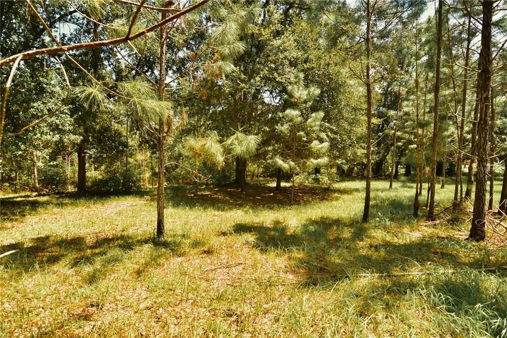 For Sale: $309,999 (19.93 acres)