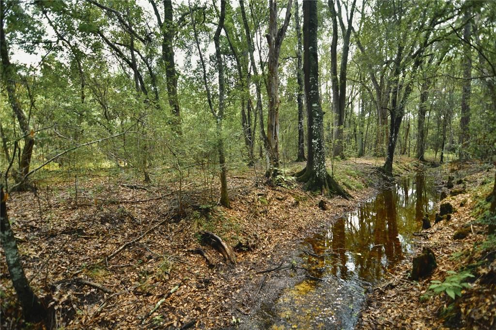 For Sale: $309,999 (19.93 acres)