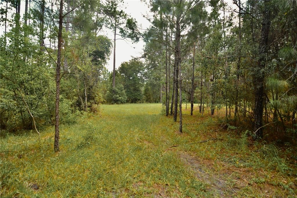 For Sale: $309,999 (19.93 acres)