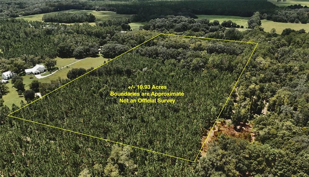 For Sale: $309,999 (19.93 acres)