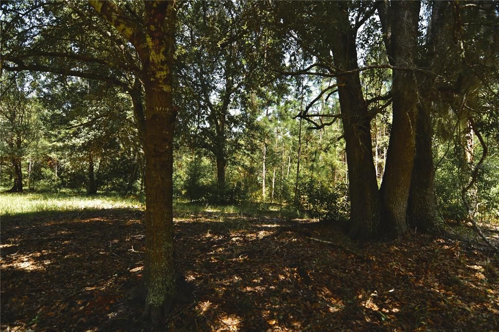 For Sale: $309,999 (19.93 acres)