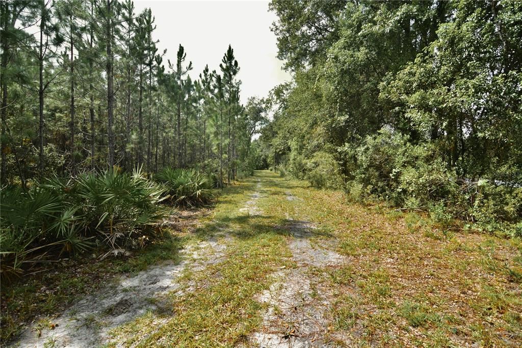 For Sale: $309,999 (19.93 acres)