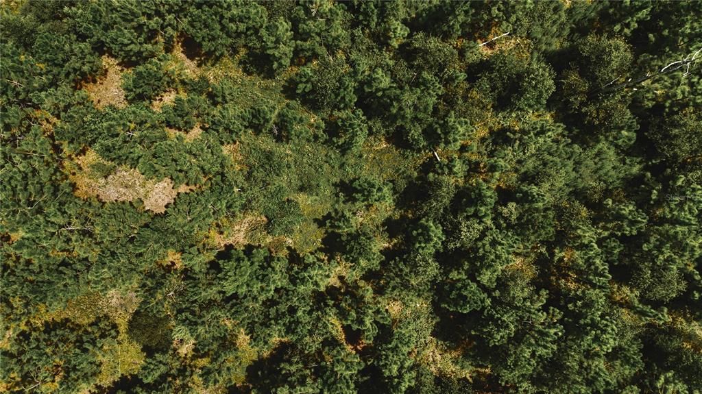 For Sale: $309,999 (19.93 acres)