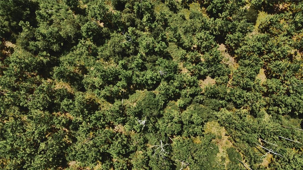 For Sale: $309,999 (19.93 acres)