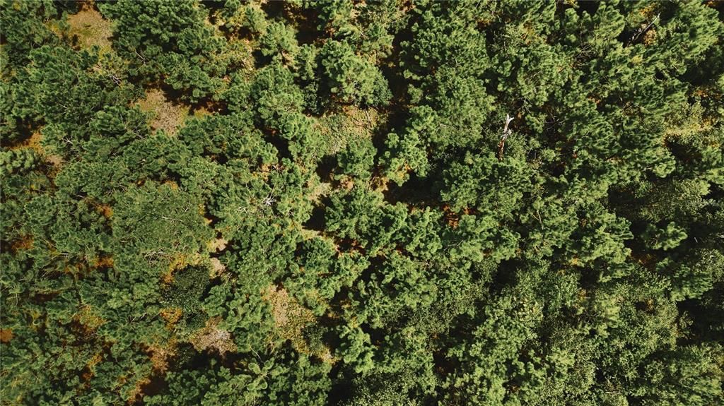 For Sale: $309,999 (19.93 acres)