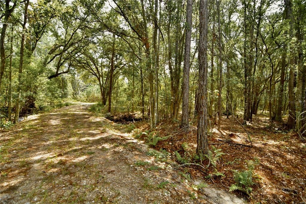 For Sale: $309,999 (19.93 acres)