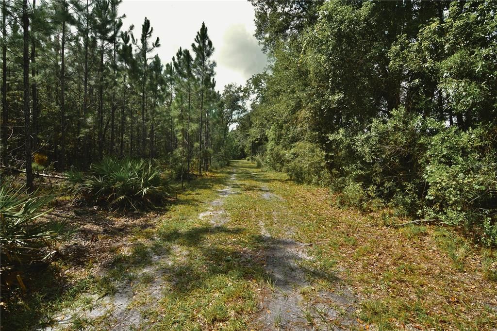 For Sale: $309,999 (19.93 acres)