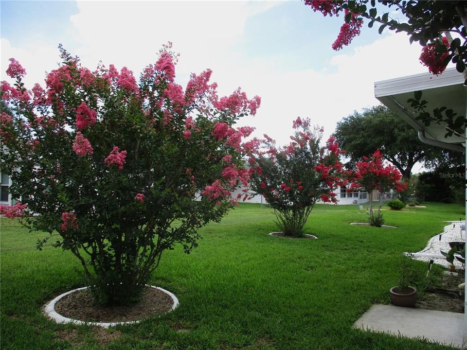 For Sale: $247,500 (3 beds, 2 baths, 1772 Square Feet)
