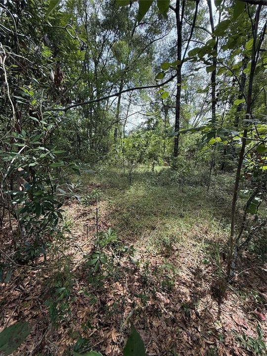 На продажу: $42,000 (1.21 acres)