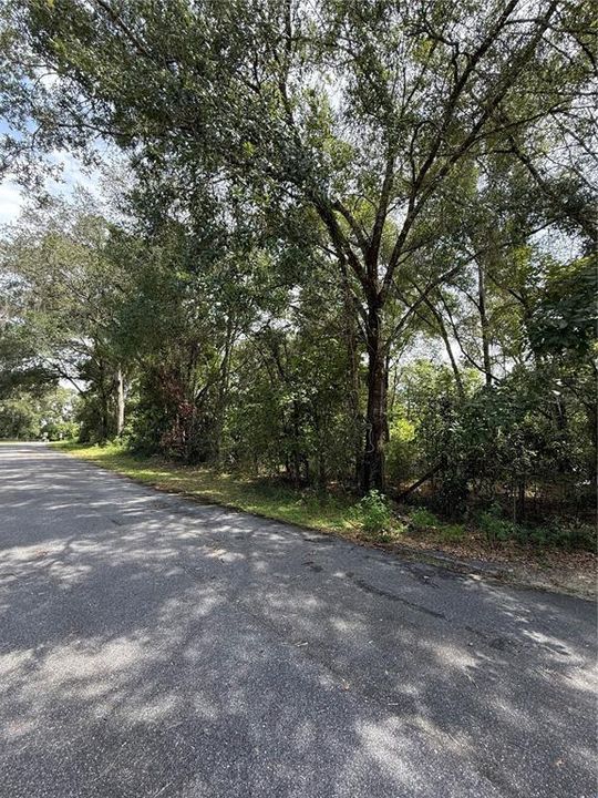 На продажу: $42,000 (1.21 acres)