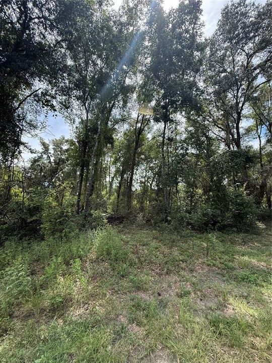 На продажу: $42,000 (1.21 acres)