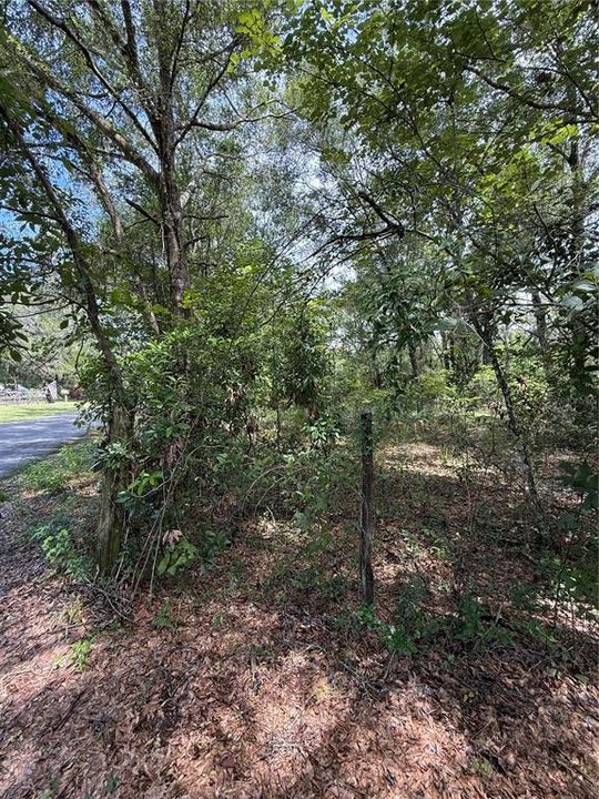 На продажу: $42,000 (1.21 acres)