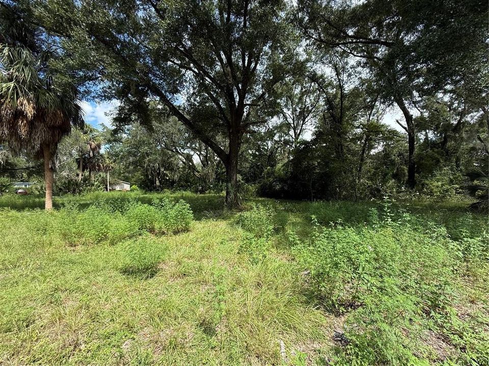 En Venta: $8,550 (0.19 acres)