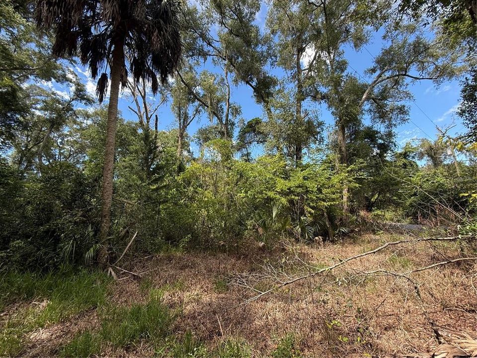 На продажу: $7,650 (0.17 acres)